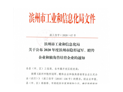 滨州市“瞪羚企业”、“隐形凯发K8国际首页,凯发k8娱乐平台,K8凯发·国际官方网站企业”